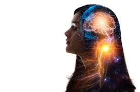 Study Reveals Human Brain Processing Slower Than Previously Thought